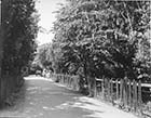  Holly Lane looking towards Foreland Avenue 1920s | Margate History